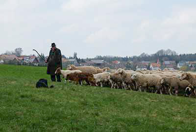 Schäfer in Oberlengenhard