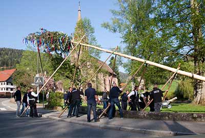 Maibaumstellen in Höfen