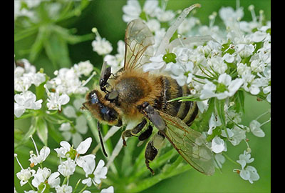 Bilder des Monats Juli